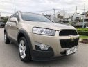 Chevrolet Captiva  LTZ   2014 - Bán ô tô Chevrolet Captiva LTZ năm sản xuất 2014, màu vàng số tự động, giá 540tr