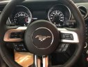 Ford Mustang   AT  2018 - Bán siêu xe Ford Mustang AT đời 2018, nhập khẩu  