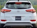 Hyundai Tucson 2018 - Bán xe Hyundai Tucson đời 2018, màu đỏ, giá chỉ 828 triệu