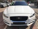 Jaguar XE Portilo 2015 - Cần bán Jaguar XE Portilo đời 2016, màu trắng, nhập khẩu