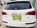 Audi Q5 2010 - Bán Audi Q5 đời 2010, màu trắng, nhập khẩu