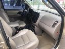 Ford Escape XLT 2003 - Bán em Ford Escape XLT 2003 màu vàng cát