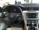 Volkswagen Passat Blu Motion 2017 - Cần bán Volkswagen Passat Blu Motion sản xuất năm 2017, màu trắng, xe nhập khẩu từ Đức