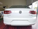Volkswagen Passat BM 2016 - Bán ô tô Volkswagen Passat BM sản xuất năm 2016, màu trắng, nhập khẩu