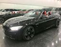 BMW 4 Series 2016 - Bán xe BMW 4 Series đăng ký lần đầu 2016, màu đen nhập khẩu nguyên chiếc