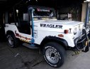 Jeep Wrangler 2002 - Bán Jeep Wrangle, hiệu Vinaya 3, máy mới vầ gầm mới đời 2002