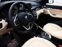BMW X1 2018 - Bán BMW X1 năm sản xuất 2018, giá tốt