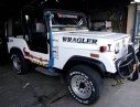 Jeep Wrangler 2002 - Cần bán gấp Jeep Wrangler năm 2002, màu trắng, nhập khẩu