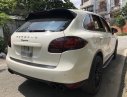 Porsche Cayenne 2010 - Bán Porsche Cayenne sx 2010 màu trắng