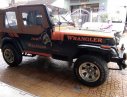 Jeep Wrangler 1997 - Bán Jeep Wrangler 1997, có giấy hải quan
