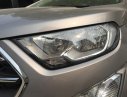Ford EcoSport Titanium 2018 - Khuyến mại lên tới 40 triệu, Ford EcoSport Titanium sản xuất năm 2018, màu xám (ghi)