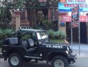 Jeep Wrangler 1980 - Bán xe Jeep Wrangler năm 1980, màu xanh lục, xe nhập, giá tốt