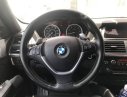 BMW X6   2008 - Cần bán xe BMW X6 sản xuất 2008, màu xám, nhập khẩu nguyên chiếc xe gia đình