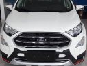 Ford EcoSport Titanium 2018 - Bình Phước bán xe Ford Ecosport Titanium, giá thấp nhất. LH 0898.482.248