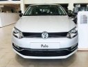 Volkswagen Polo 1.6 MT 2015 - Bán ô tô Volkswagen Polo 1.6 MT năm sản xuất 2015, màu bạc, xe nhập