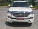 Toyota Land Cruiser VX 4.6 V8 2016 - Cần bán gấp Toyota Land Cruiser VX 4.6 V8 sản xuất 2016, màu trắng, nhập khẩu nguyên chiếc