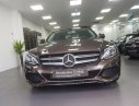 Mercedes-Benz C class 200 2018 - Bán Mercedes 200 năm 2018, màu nâu như mới