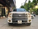 Ford F 150 2015 - Cần bán Ford F 150 năm sản xuất 2015, màu trắng, xe nhập