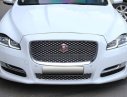 Jaguar XJL 2016 2016 - Bán Jaguar XJL đời 2016