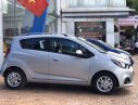 Chevrolet Spark  LT   2018 - Bán ô tô Chevrolet Spark LT năm sản xuất 2018, màu bạc, nhập khẩu, xe mới 100%