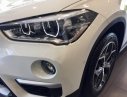 BMW X1 sDriver18i 2018 - Bán xe BMW X1 sDriver18i đời 2018, màu trắng, nhập khẩu