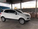 Ford EcoSport Titanium 2016 - Cần bán lại xe Ford EcoSport đời 2016, màu trắng chính chủ, giá tốt