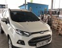 Ford EcoSport Titanium 2016 - Cần bán lại xe Ford EcoSport đời 2016, màu trắng chính chủ, giá tốt