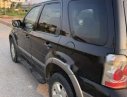 Ford Escape 2005 - Bán xe Ford Escape đời 2005, màu đen