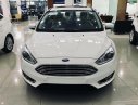 Ford Focus Titanium 2019 - Bán Ford Focus Titanium 2018, xe mới 100%, xe đủ màu, giao ngay
