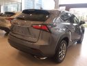 Lexus NX 2018 - Giao ngay xe mới nhập khẩu Mỹ Lexus NX200T