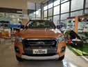 Ford Ranger Wildtrak 2.0 biturbo XLS AT MT 2019 - Cao Bằng bán xe Ford Ranger Wildtrak 2.0 Biturbo sản xuất 2019, nhập khẩu nguyên chiếc. LH 0974286009
