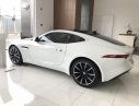 Jaguar F Type  Sport  2017 - Bán Jaguar F-Type Sport chính hãng - Giao ngay với quà tặng và phụ kiện lớn - Hotline: 0938302233