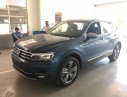Volkswagen Tiguan 2018 - Bán xe Volkswagen Tiguan sản xuất năm 2018, màu xanh lam, nhập khẩu