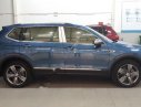 Volkswagen Tiguan 2018 - Bán xe Volkswagen Tiguan sản xuất năm 2018, màu xanh lam, nhập khẩu