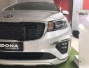 Kia Sedona Platinum D 2018 - Bán xe Kia Sedona sản xuất 2018, màu bạc