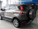 Ford EcoSport Titanium 1.0 Ecoboost 2018 - Bán Ford EcoSport Titanium 1.0 Ecoboost sản xuất 2018, màu nâu, giá 669tr