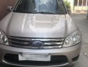 Ford Escape XLS 2009 - Bán Ford Escpae XLS, màu ghi hồng