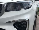 Kia Sedona  Facelift   2018 - Bán xe Kia Sedona Facelift sản xuất 2018, màu trắng giá tốt