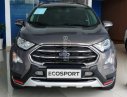 Ford EcoSport Titanium 1.0 Ecoboost 2018 - Bán Ford EcoSport Titanium 1.0 Ecoboost sản xuất 2018, màu nâu, giá 669tr