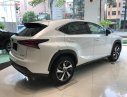 Lexus NX  300 2018 - Bán xe Lexus NX 300 năm 2018, màu trắng, xe nhập