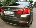 BMW 5 Series 520i 2014 - Bán BMW 5 Series 520i 2014, màu nâu, nhập khẩu