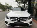 Mercedes-Benz GLC-Class GLC300 2016 - Bán Mercedes GLC300 model 2017 màu trắng kem