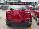 Ford EcoSport Ambiente MT 2018 - Bán xe Ford EcoSport Ambiente MT 2018, màu đỏ, giá chỉ 525 triệu, vay 80%, chỉ 175 triệu có xe lăn bánh