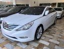 Hyundai Sonata Y20 2011 - Bán Hyundai Sonata Y20 2011, màu trắng, xe nhập 