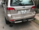 Ford Escape XLS 2009 - Cần bán gấp xe cũ Ford Escape XLS 2009, màu vàng