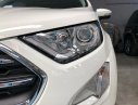 Ford EcoSport Titanium 2018 - Chương trình khuyến mãi đặc biệt Ford EcoSport Titanium 2018, hỗ trợ mọi thủ tục tài chính. 0968.912.236