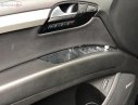 Audi Q7 2010 - Bán Audi Q7 2010, màu đen, xe nhập, chính chủ