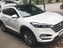 Hyundai Tucson 2.0  2017 - Bán xe Hyundai Tucson 2.0 bản đặc biệt đời 2017, màu trắng, nhập khẩu
