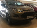 Ford EcoSport 2017 - Bán Ford EcoSport sản xuất 2017 màu nâu, giá chỉ 605 triệu