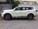 Nissan Terrano 2.5 V 2018 - Bán Nissan Terrano 2.5 V 2018, màu trắng, nhập khẩu Thái Lan